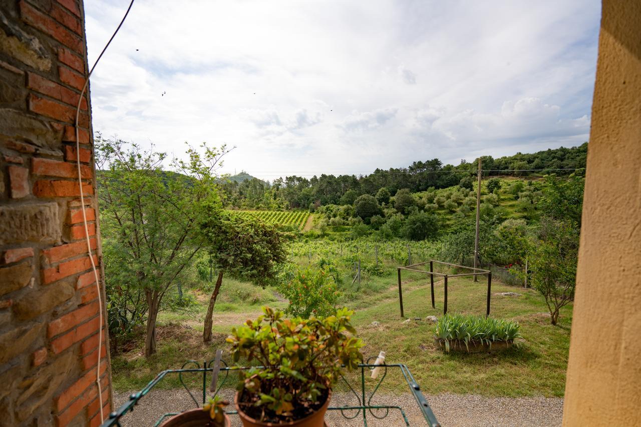 Agriturismo Fattoria Di Gratena Arezzo Exterior foto